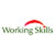 程序图标：Destroy WorkingSkill Exte…