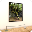 أيقونة البرنامج: Virtual Art Gallery VR Mu…