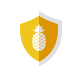 AlohaVPN: Fast  Secure VPN
