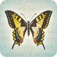 Icon of program: Happiness In Your Life Oracle