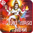 Shiva Tandava Stotram HD