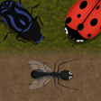 プログラムのアイコン：Ant Evolution Game : Tast…
