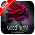 Icon of program: Good Night Pictures 2019