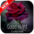 Good Night Pictures 2019