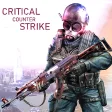 Critical counter strike:Heli F