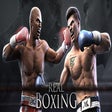 Icon of program: Real Boxing
