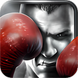 Programikonen: Real Boxing