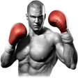 프로그램 아이콘: Real Boxing