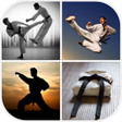 プログラムのアイコン：Martial Arts Wallpaper