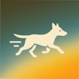 Иконка программы: Hollywoodbets app