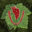 プログラムのアイコン：Viticulture