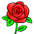Roses Flowers Wallpapers - Spr