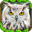 أيقونة البرنامج: Owl Simulator