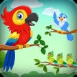 Иконка программы: Bird Color Sort : Puzzle …