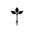 程序图标：Roots Natural Kitchen