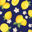 Summer Theme-Citrus Navy-