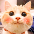 Ícone do programa: Cute Cat Stickers for Wha…