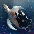 Ícone do programa: Idle Sea World