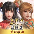 プログラムのアイコン：三国志战略版