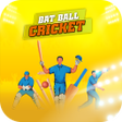 Cricket Match 3d Bat Ball Game