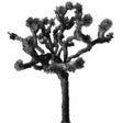 Icon of program: JoshuaTree