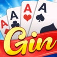 Icoon van programma: Gin Rummy Play