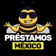 Préstamos de crédito icon
