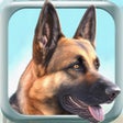 Symbol des Programms: My Dog Dog Simulator