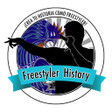 プログラムのアイコン：FreestylerHistory - Juego…