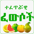程序图标：Islamic Ethiopian Traditi…