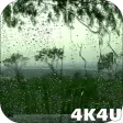 4K Rain Drops on Window Live Wallpaper
