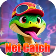 程序图标：Net Catch