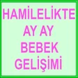 HAMİLELİK TE BEBEK GELİŞİMİ