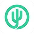Code Oasis icon