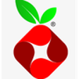 Icono de programa: Pi-hole