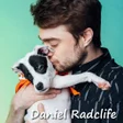 程序图标：Daniel Radcliffe Wallpape…