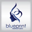 プログラムのアイコン：Blueprint Hair Studio