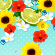 Icon of program: Flower Wallpaper Summer T…