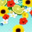 Flower Wallpaper Summer Time