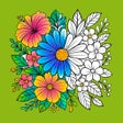 Ikona programu: Color Level:Color Quest