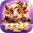 Programikonen: TT345Trace