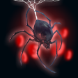 プログラムのアイコン：Aranearum