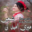 Icon of program: Meri Umeed Ki Shamain - N…