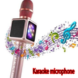 プログラムのアイコン：Karaoke microphone
