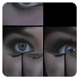 プログラムのアイコン：VidFreaker