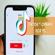 Icon of program: TikTok™ Orange for PC
