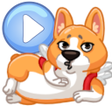 プログラムのアイコン：WASticker animals in moti…