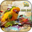 Icon of program: خواطر صباح و مساء الخير 2…
