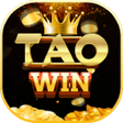 Ikon program: TaoWin