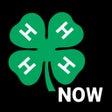 Icoon van programma: 4-H Now
